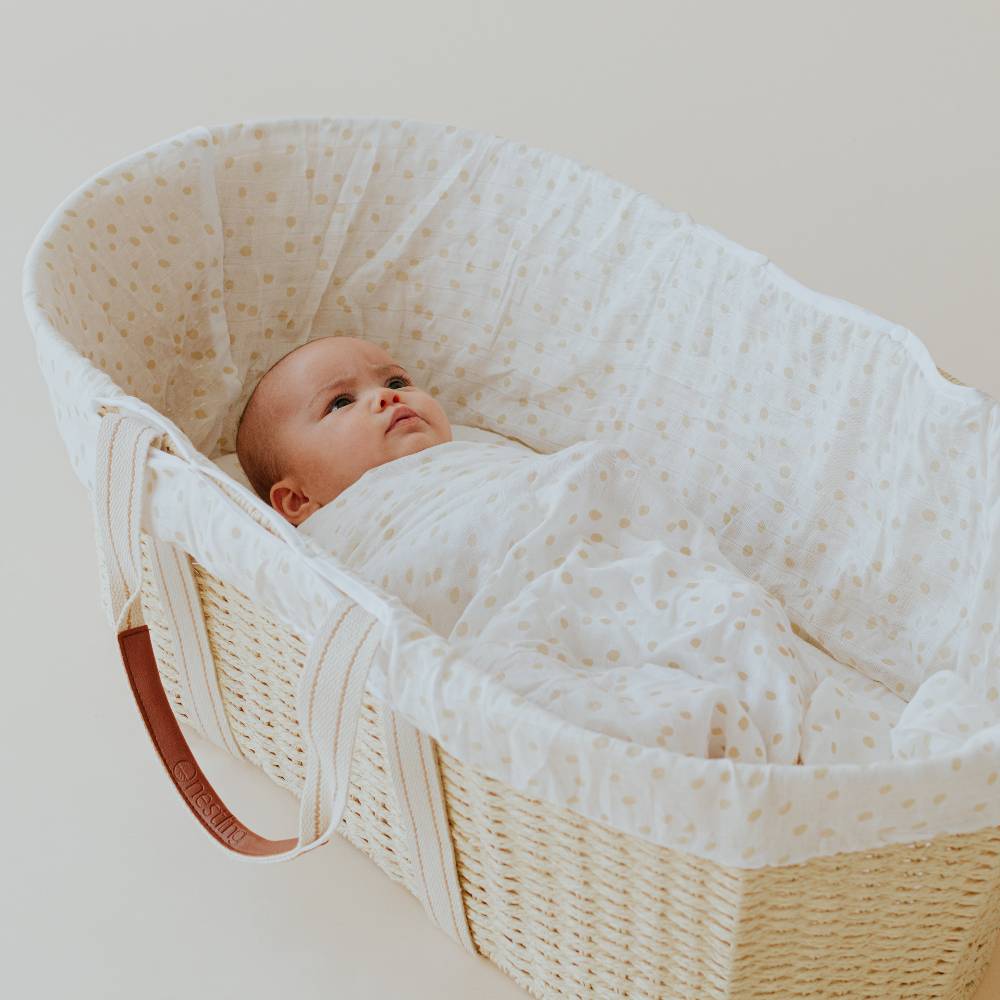 Moses Basket